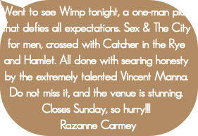 Went to see Wimp tonight, a one-man play that defi